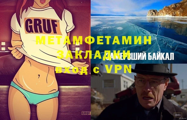 шишки Гвардейск