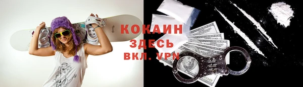 молекула духа Няндома