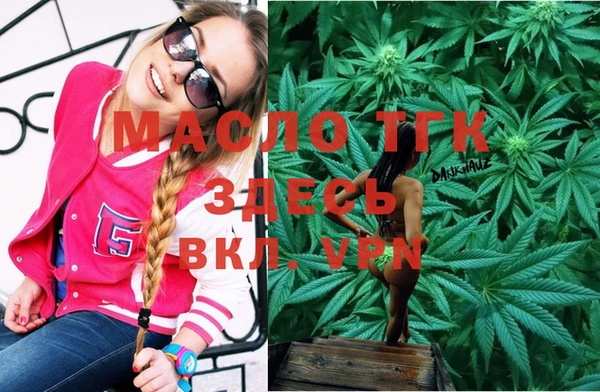 молекула духа Няндома
