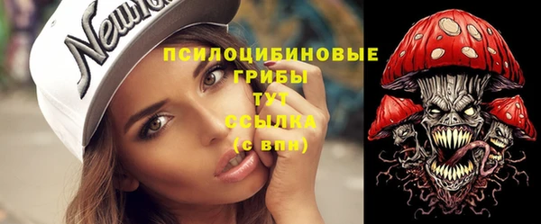 ECSTASY Галич